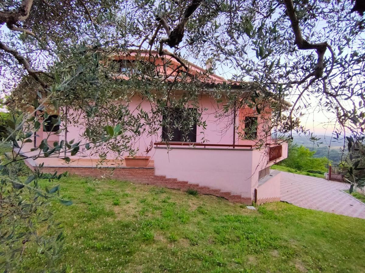 Bella Vista - Belvedere Montebuono  المظهر الخارجي الصورة