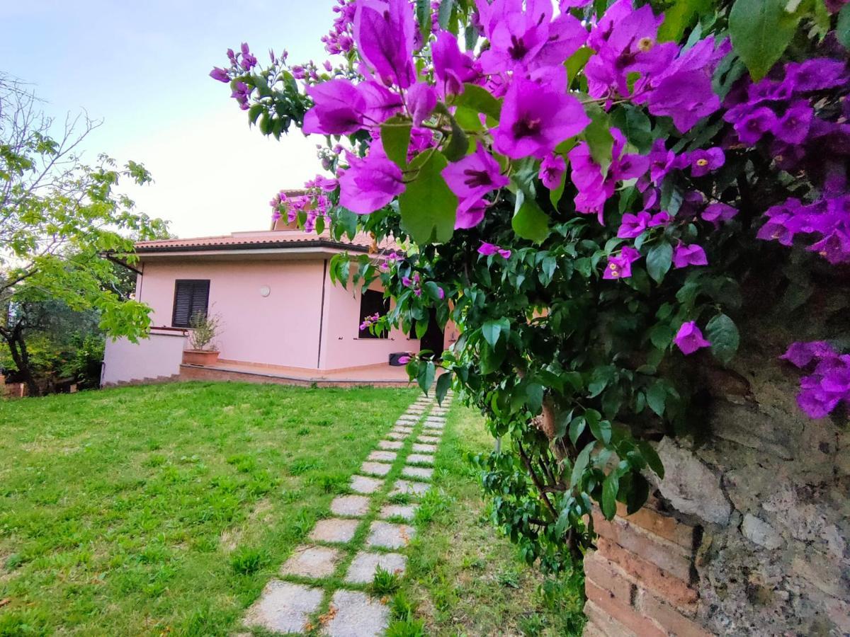 Bella Vista - Belvedere Montebuono  المظهر الخارجي الصورة